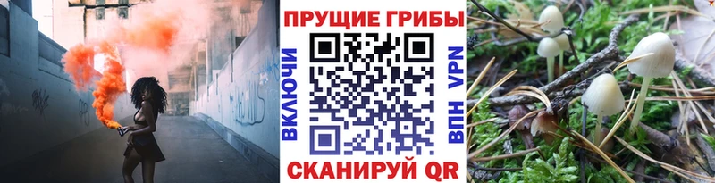 Псилоцибиновые грибы Magic Shrooms  купить наркотик  Ленинск 